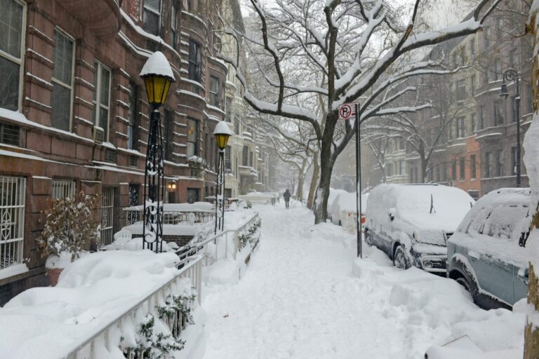 Can Bed Bugs Live in the Polar Vortex?
