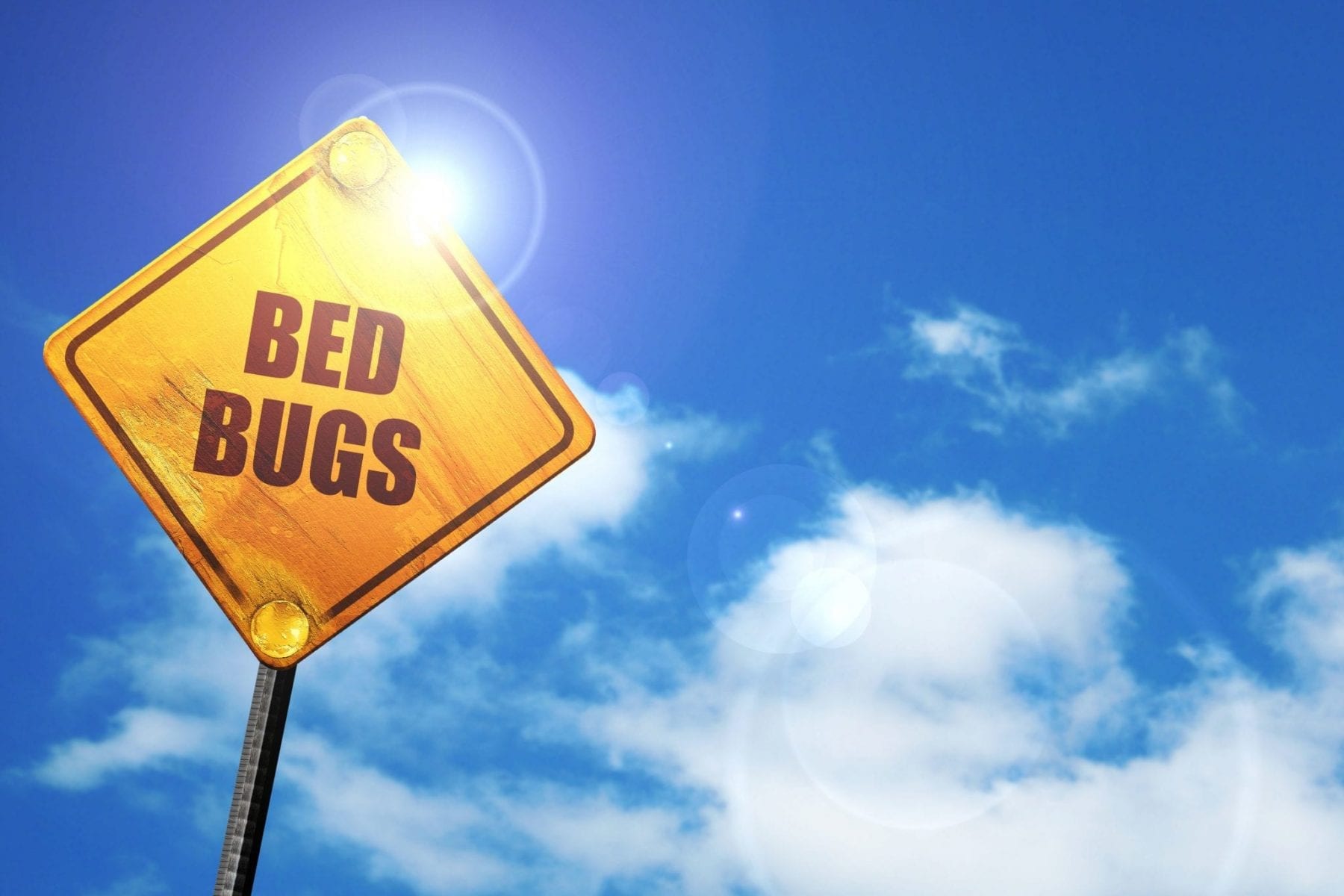 Yellow sign with bed bugs on it