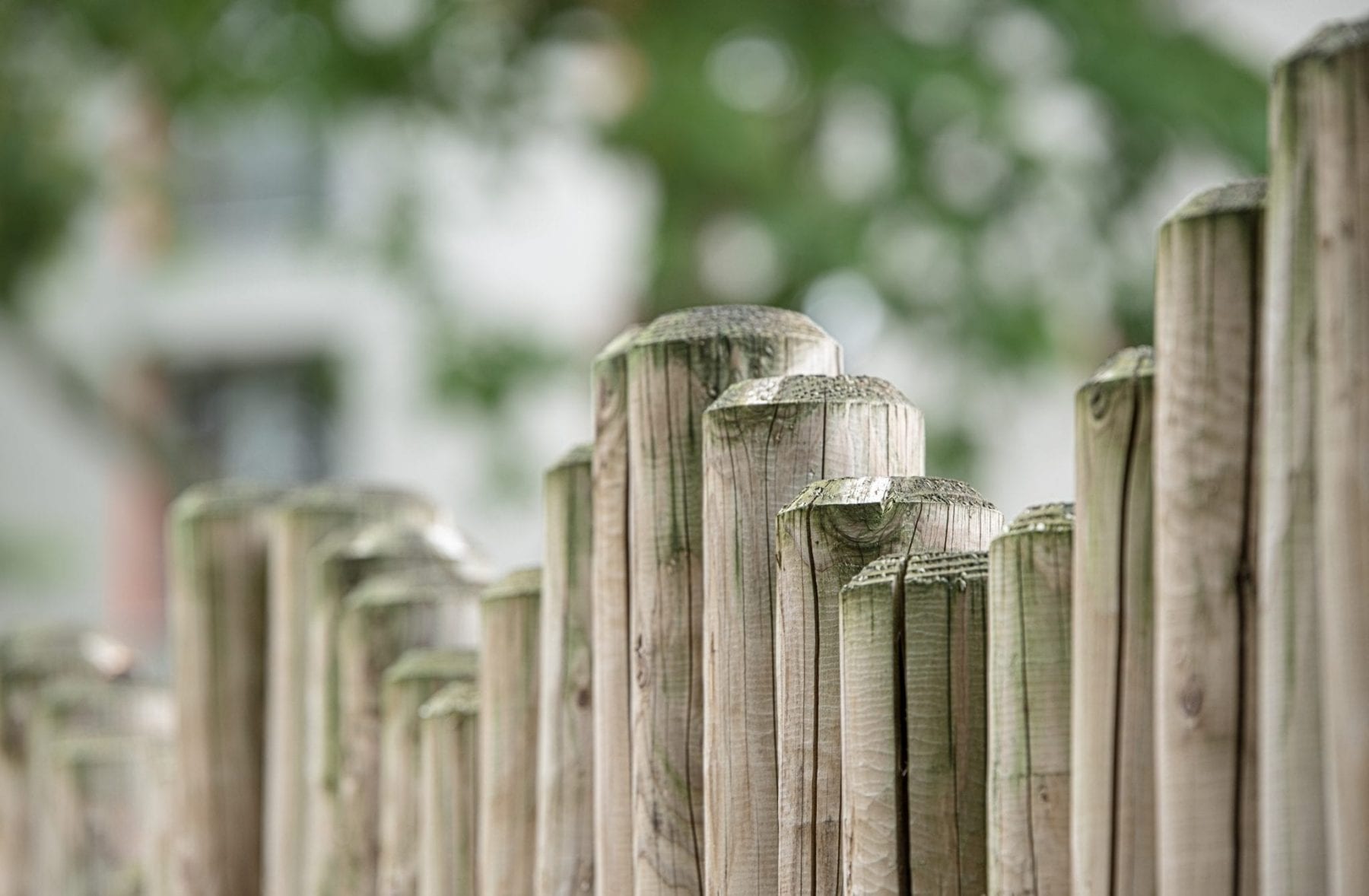 Wooden posts for fence