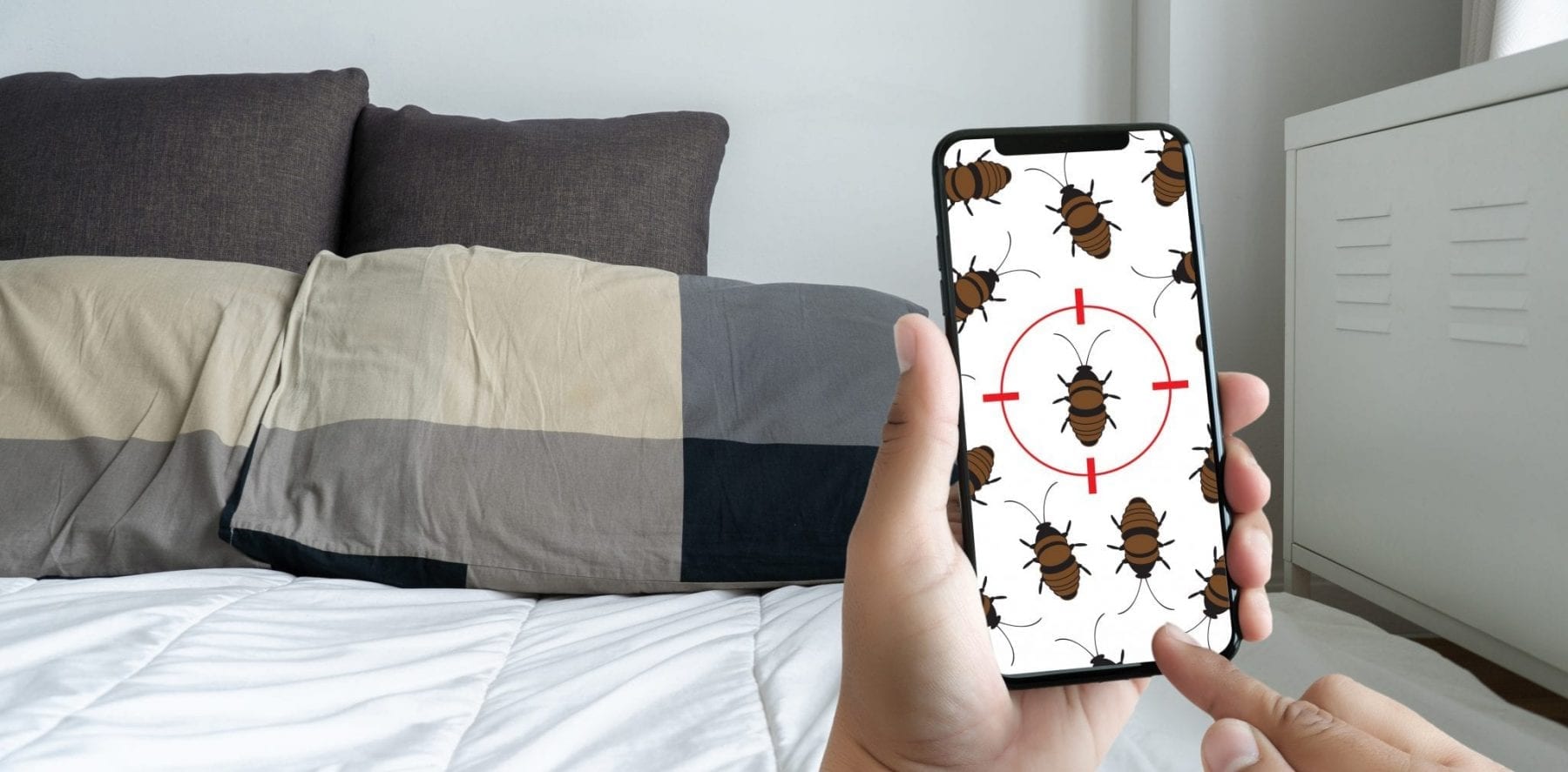 Women checking bed bugs on phone