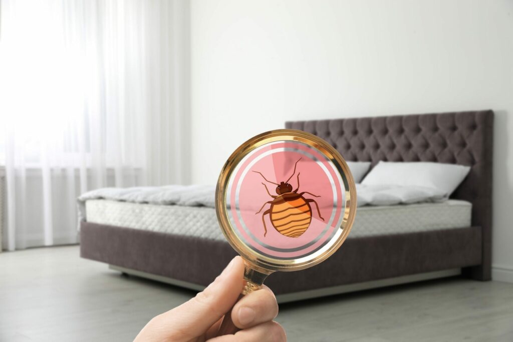 Bed bug exterminator inspecting a mattress with pink cartoon bed bug