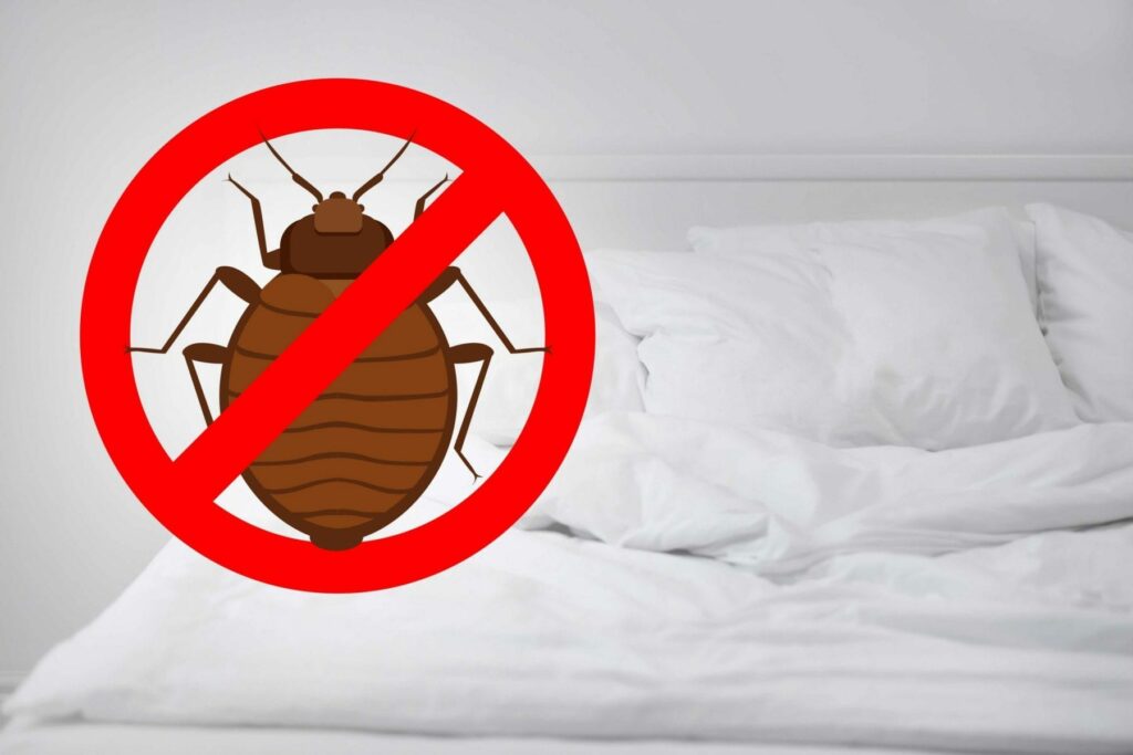 No bed bugs symbol above a bed