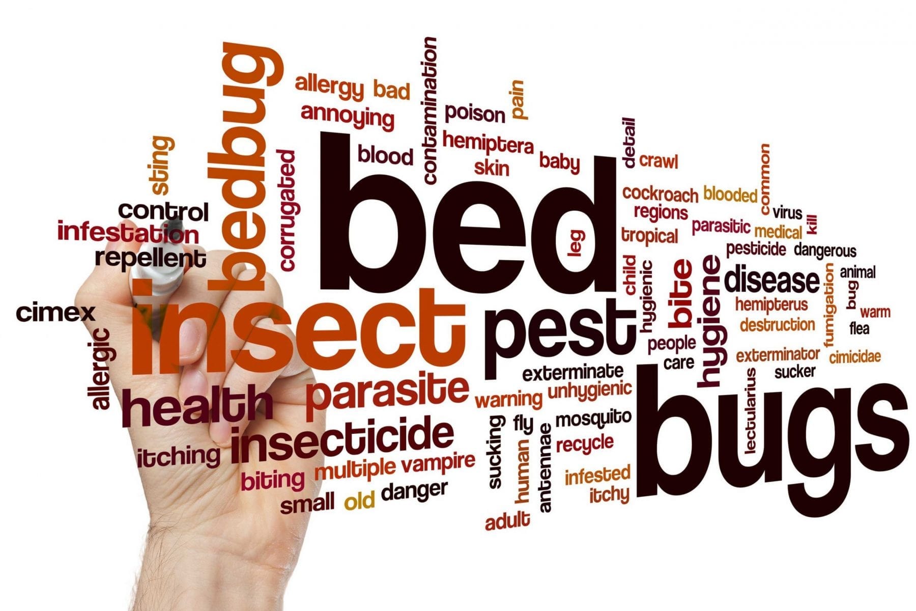 Word cloud of bed bugs and hand behind