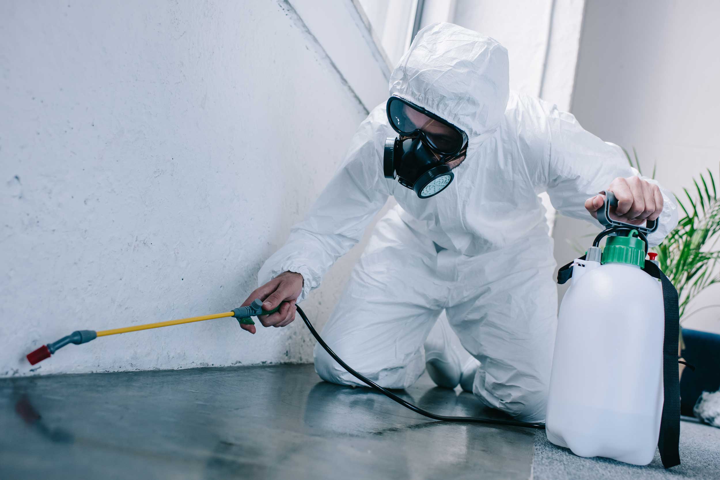 Exterminator in suit spraying for bugs