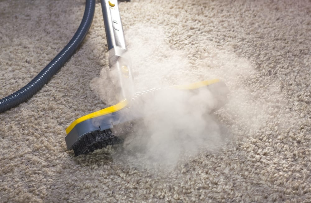 Steam cleaner being used to kill bed bugs