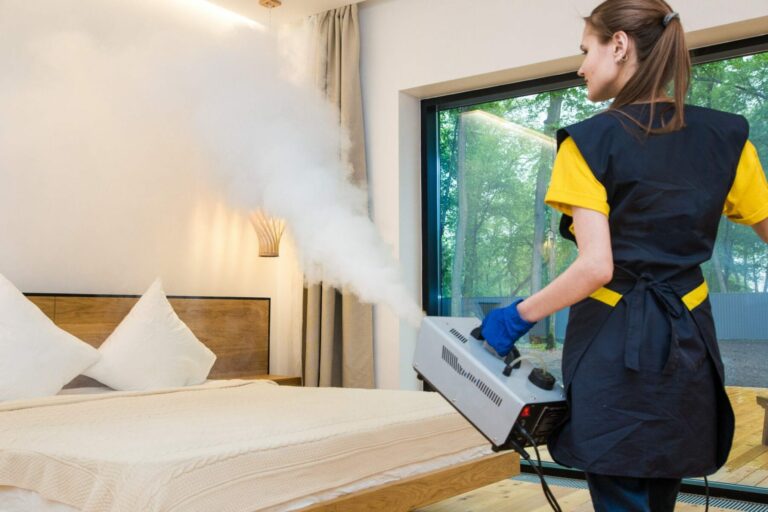 How Does Bed Bug Heat Treatment Differ From Steam?