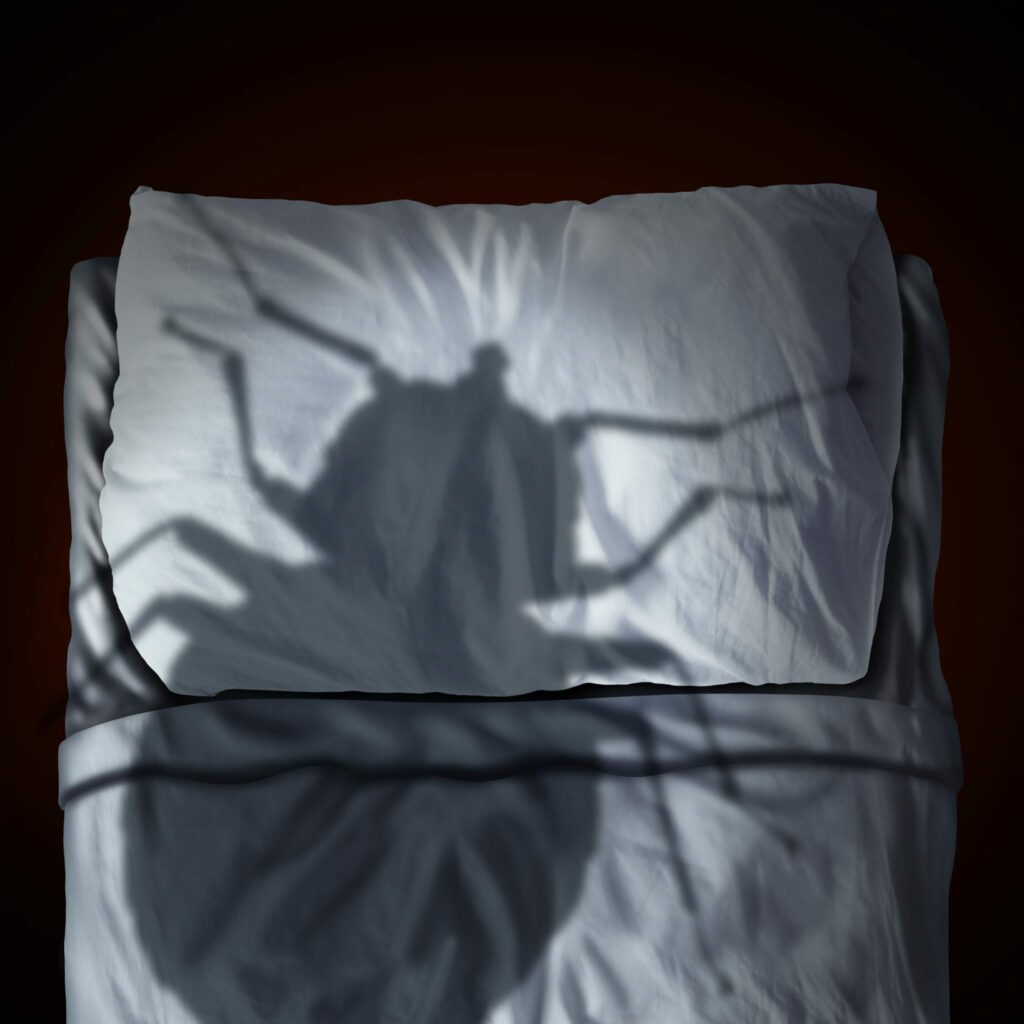 Large, ominous bed bug shadow on a wrinkled white bed.