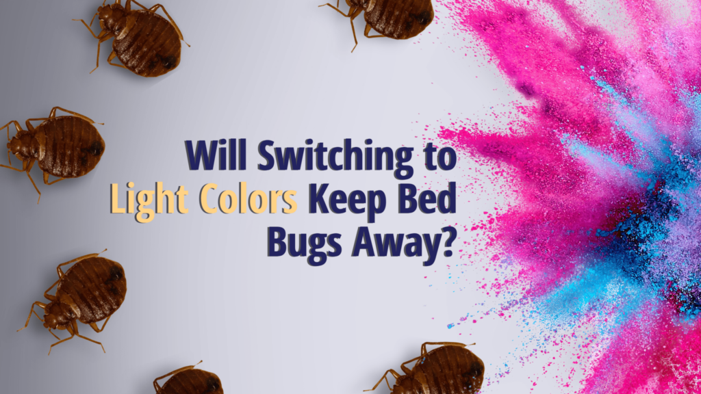 Color splash on right next to text and bed bugs around border
