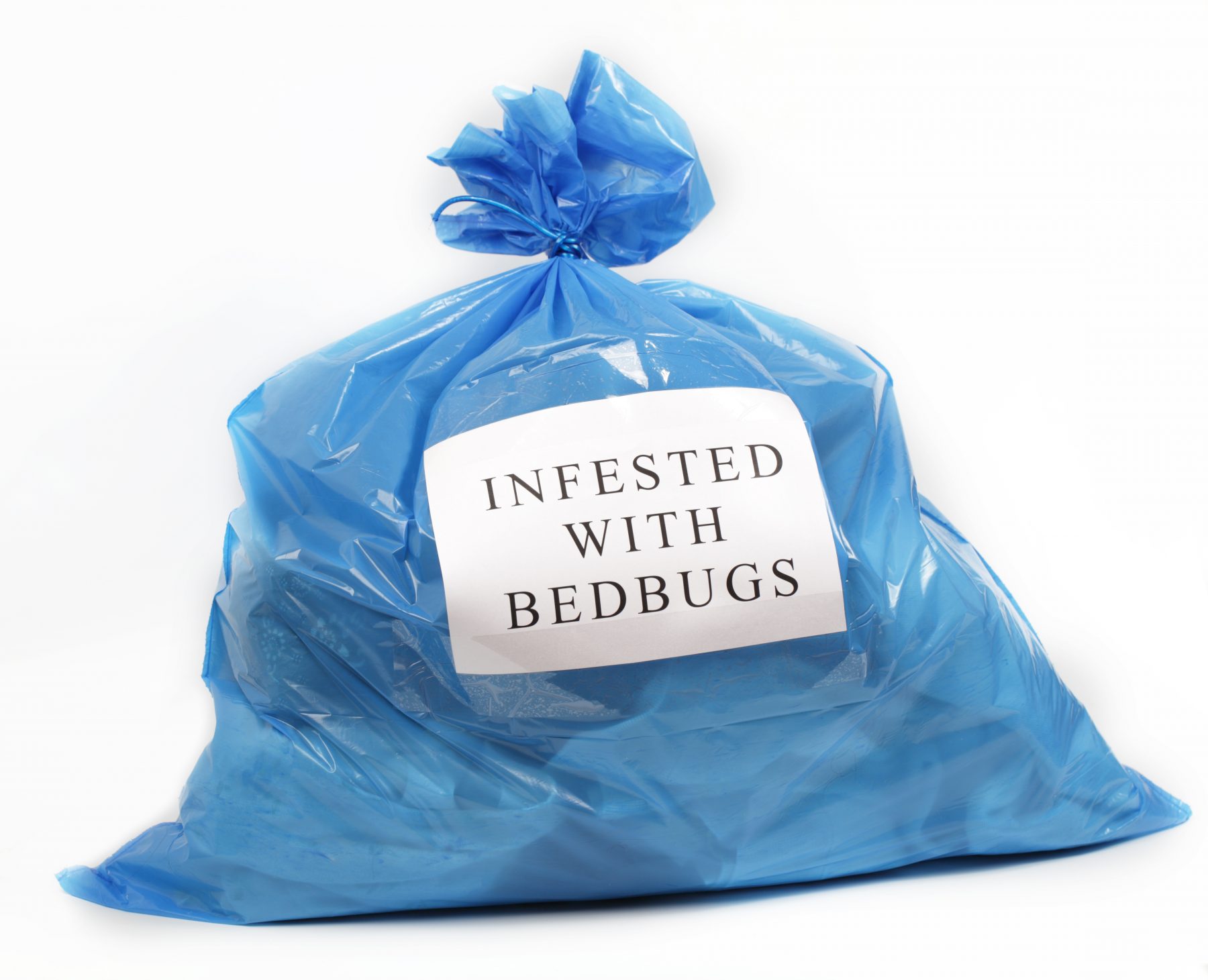 Blue plastic bag with paper sign "Infested with Bed Bugs"