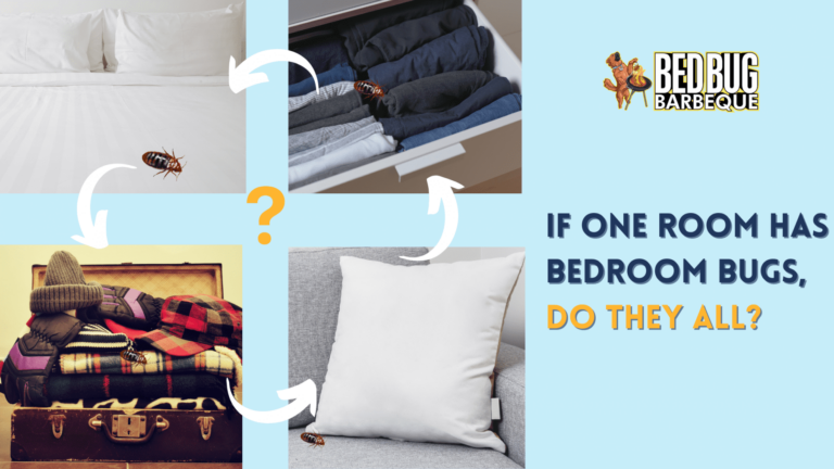 If One Room Has Bedroom Bugs, Do They All?