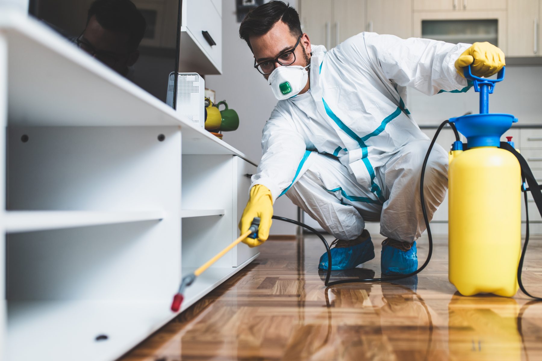 Exterminator in work wear spraying pesticide with sprayer.