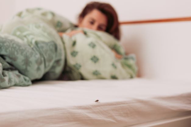 Woman behind covers and blankets on bed with small bug in foreground on sheets