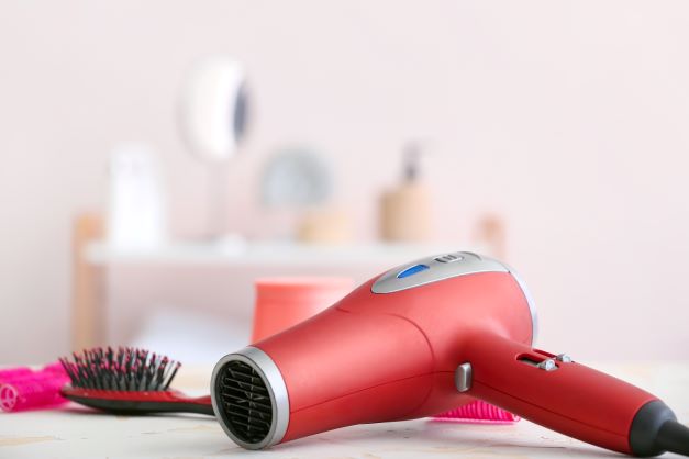 Can a Blow Dryer Kill Bed Bugs?