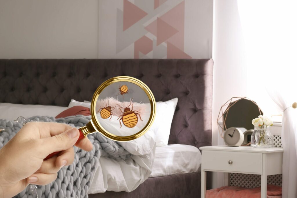 Hand with magnifying glass over messy bed with bed bug icons in lens