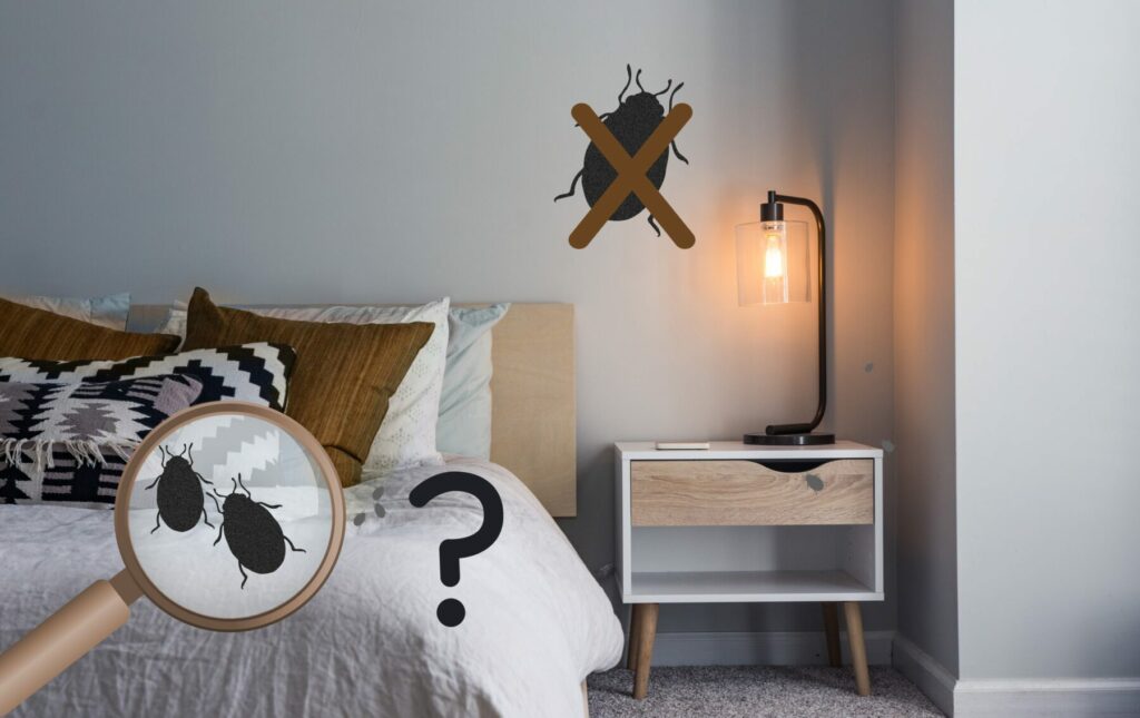 Bedroom showing cartoon images of bed bugs with a magnifying glass indicating bed bug search