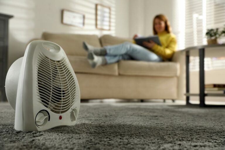 Can a Space Heater Get Rid of Bed Bugs?