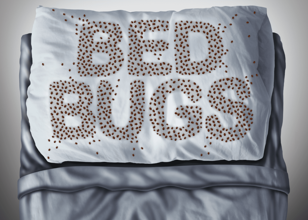 Bed bug spelled out in bed sheets with bed bugs as letters