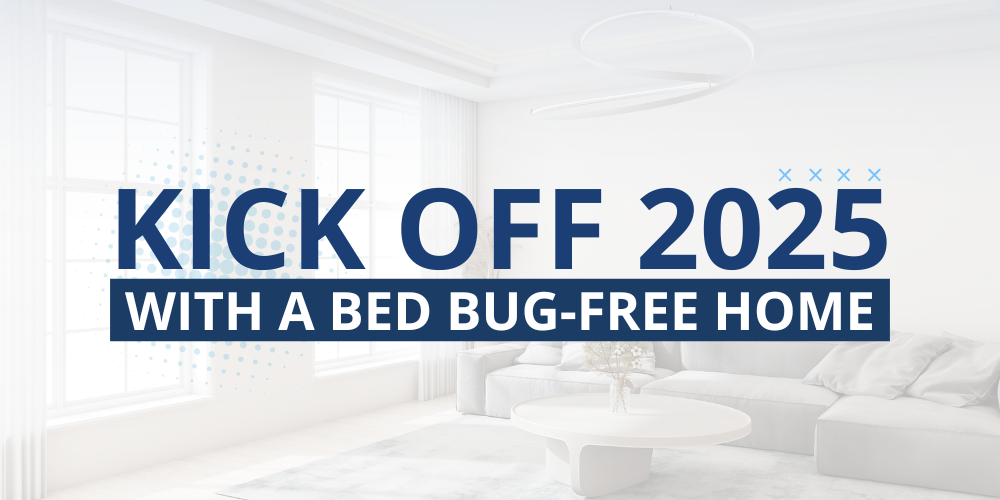 Kick Off 2025 with a Bed Bug-Free Home (Title)