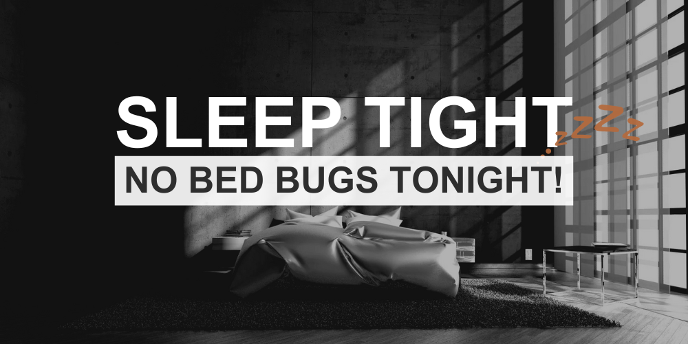 Sleep Tight_ No Bed Bugs Tonight! (Title)