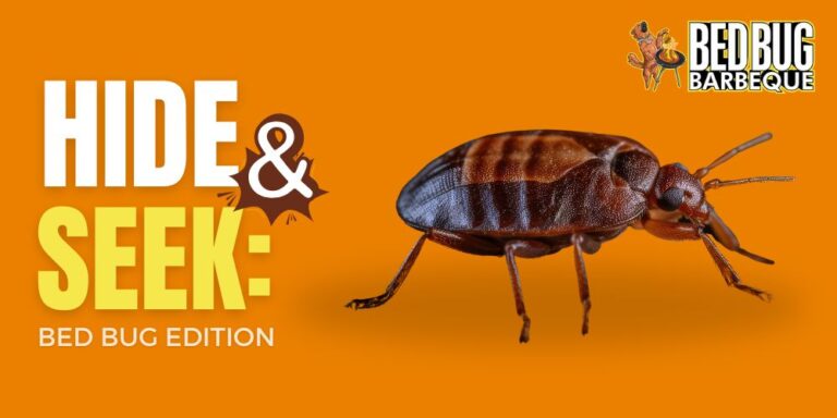 Hide and Seek Bed Bug Edition (Featured image)