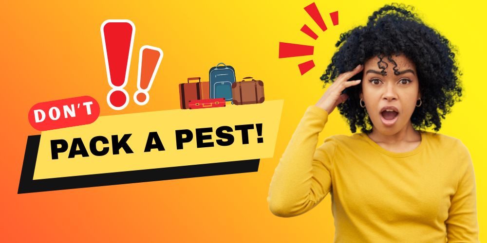 Don’t Pack a Pest! (Featured iimage)