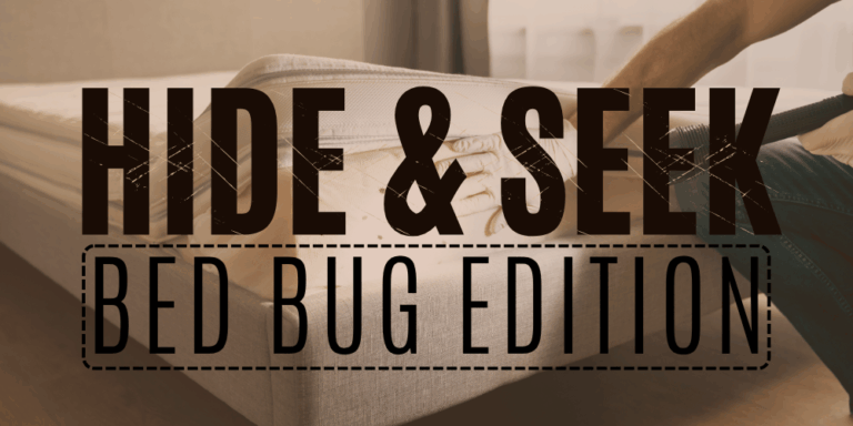 Hide _ Seek Bed Bug Edition (Title)