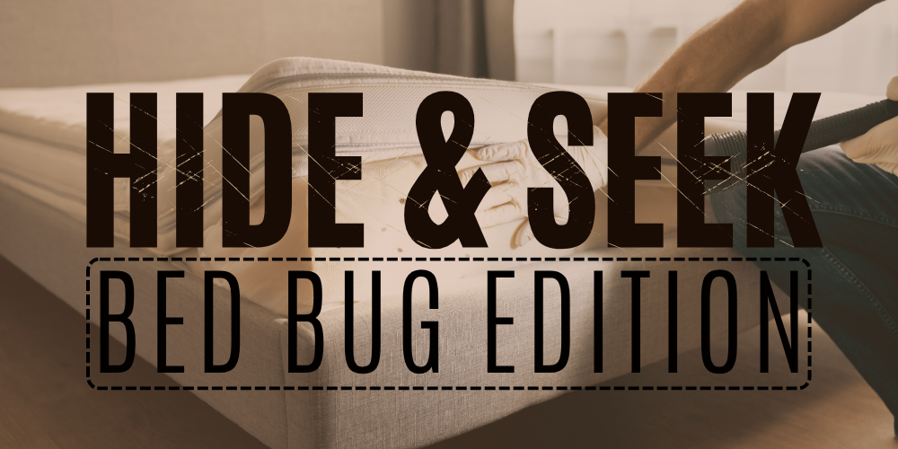 Hide _ Seek Bed Bug Edition (Title)
