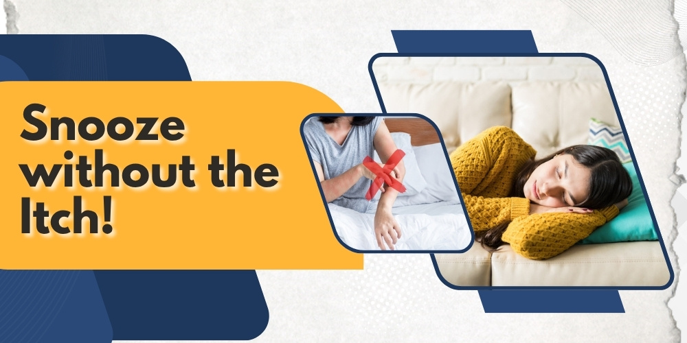 Bed Bug identification