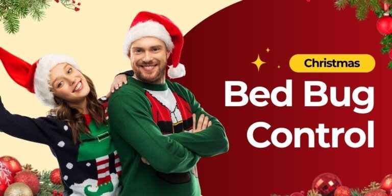 Christmas Bed Bug Control