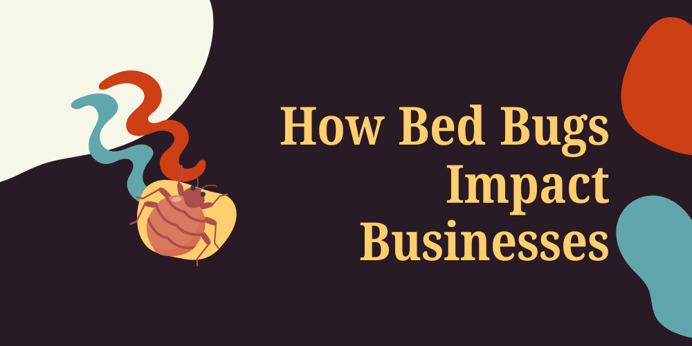 How Bed Bugs Impact Businesses - Featured Image